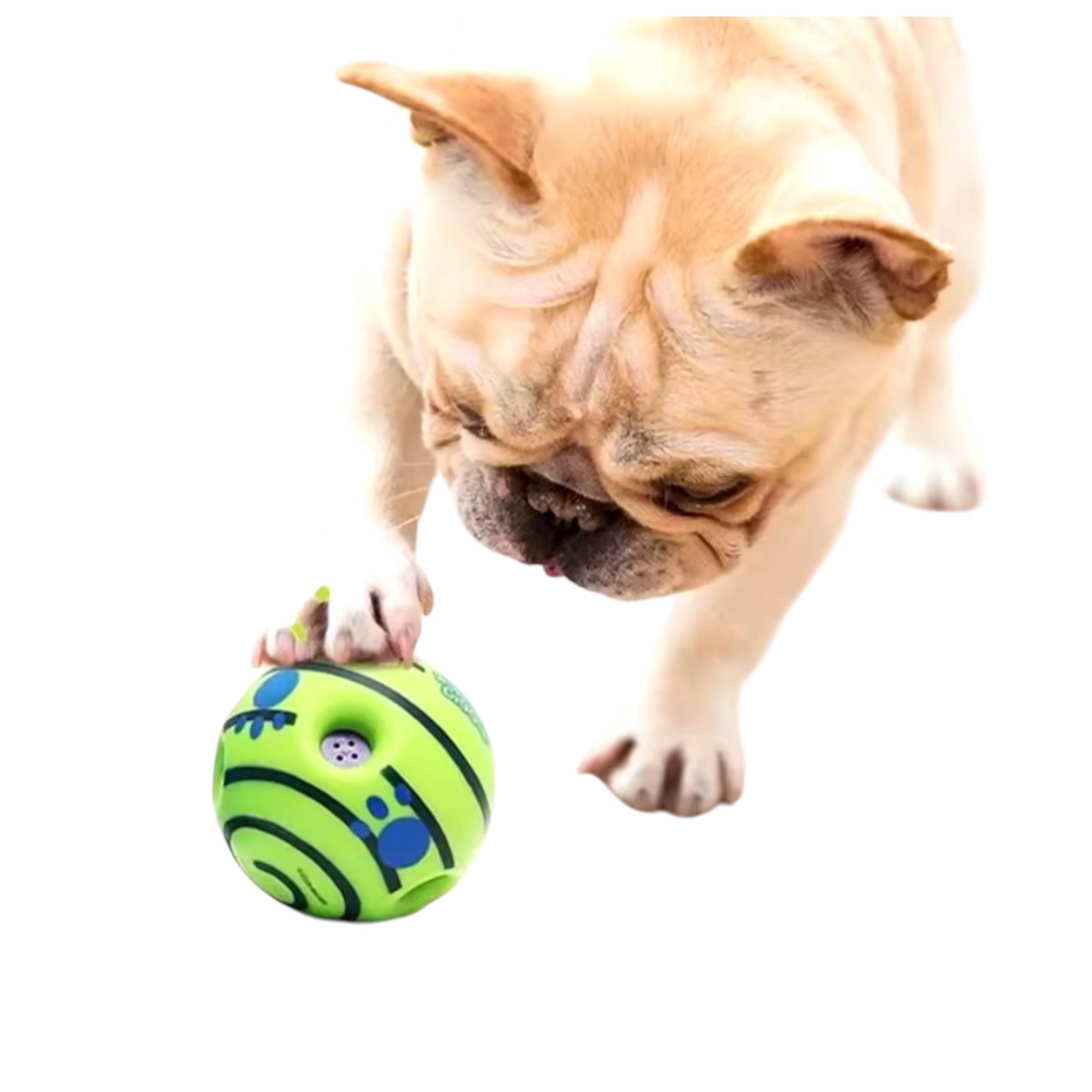 PELOTA CON SONIDO INTEGRADO PARA PERRO PETMAX