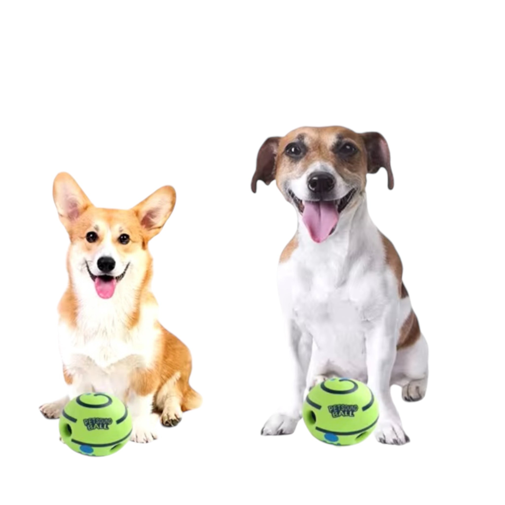 PELOTA CON SONIDO INTEGRADO PARA PERRO PETMAX